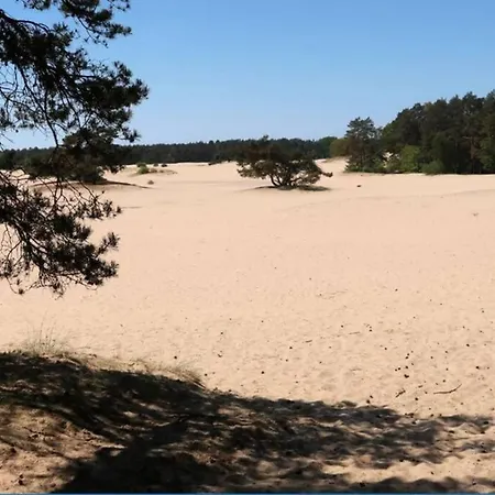 Luxe Veluwse Chalet Te Huur * Doornspijk
